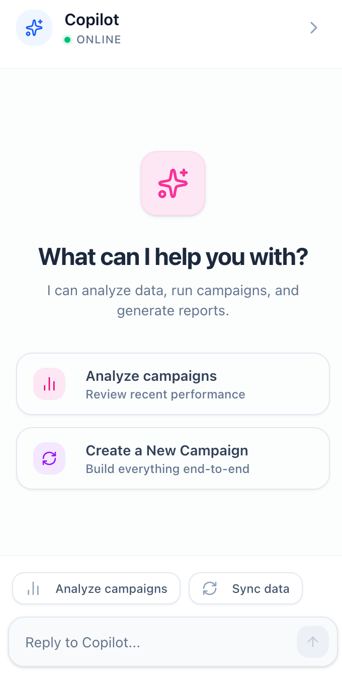 AI Copilot